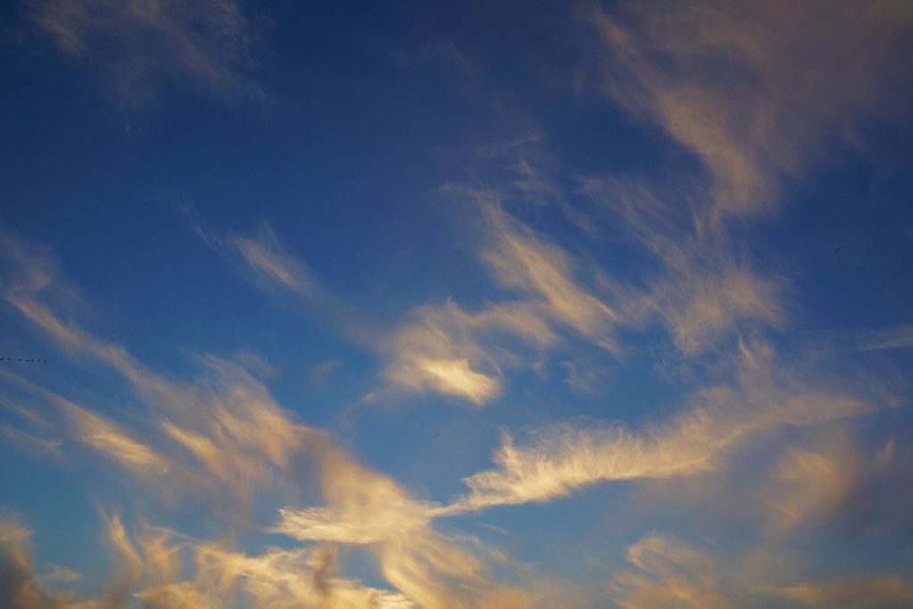 Cielo