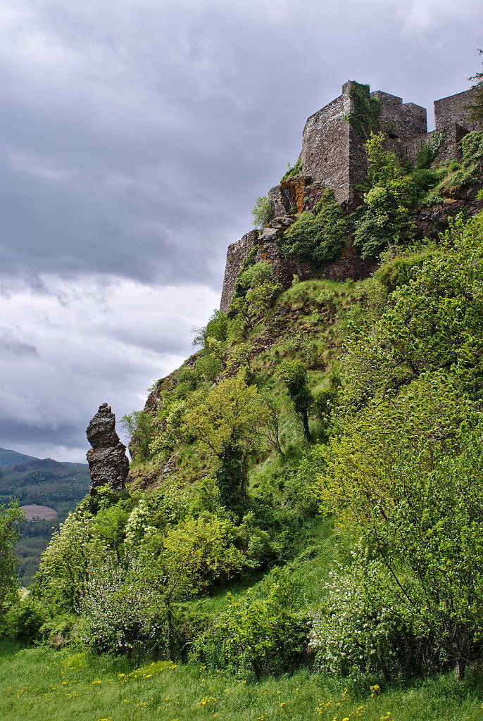 bardi-03.jpg