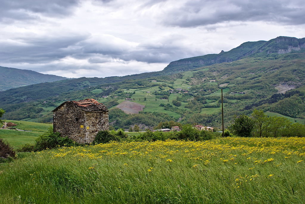 bardi-05.jpg