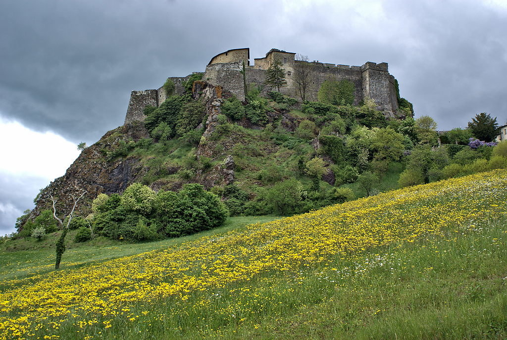 bardi-06.jpg
