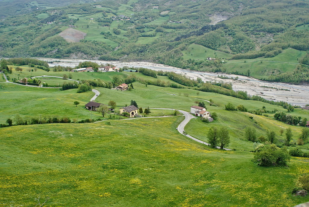 bardi-08.jpg