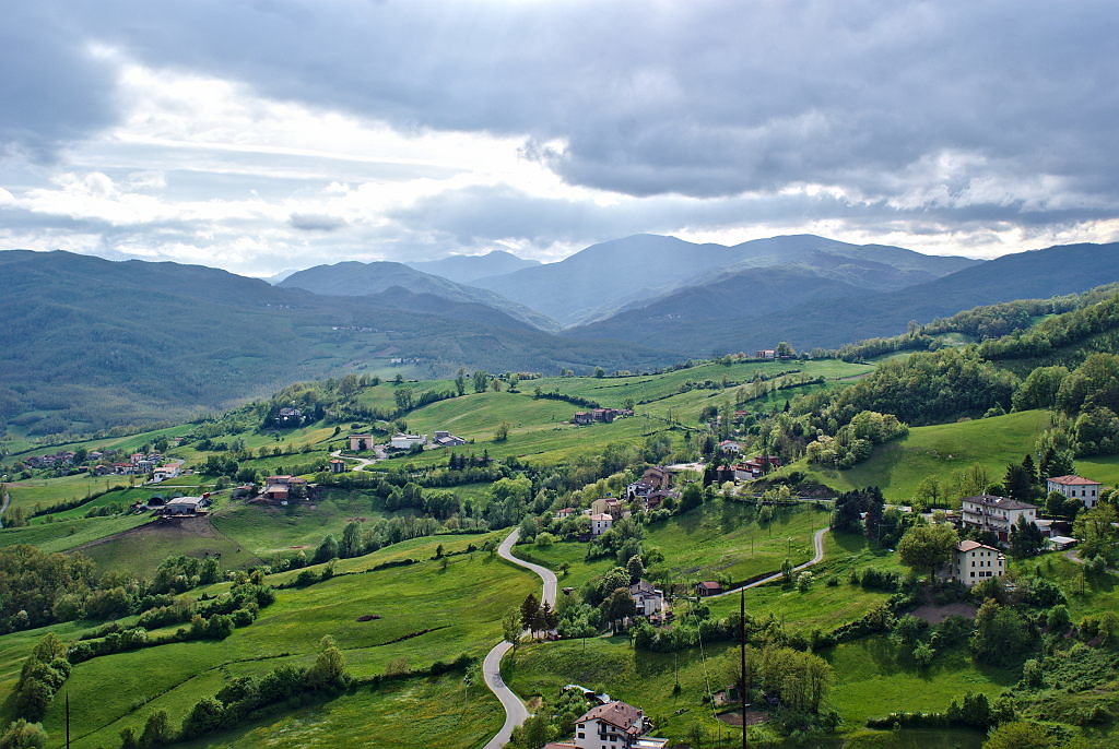 bardi-13.jpg