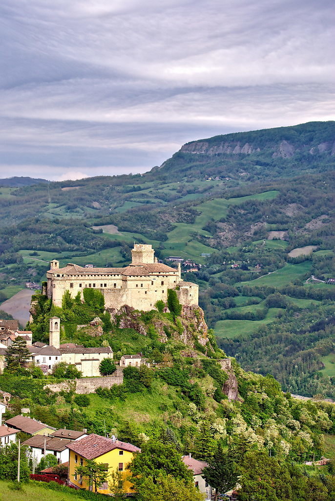 bardi-16.jpg